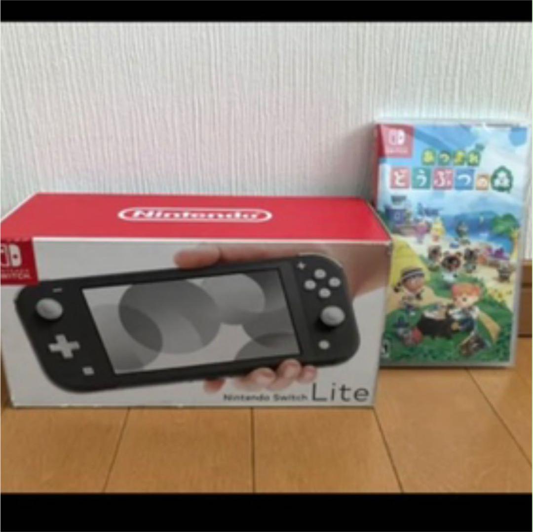 珍しいどうぶつの森 ドウブツノ森 ニンテンドースイッチライト 本体
