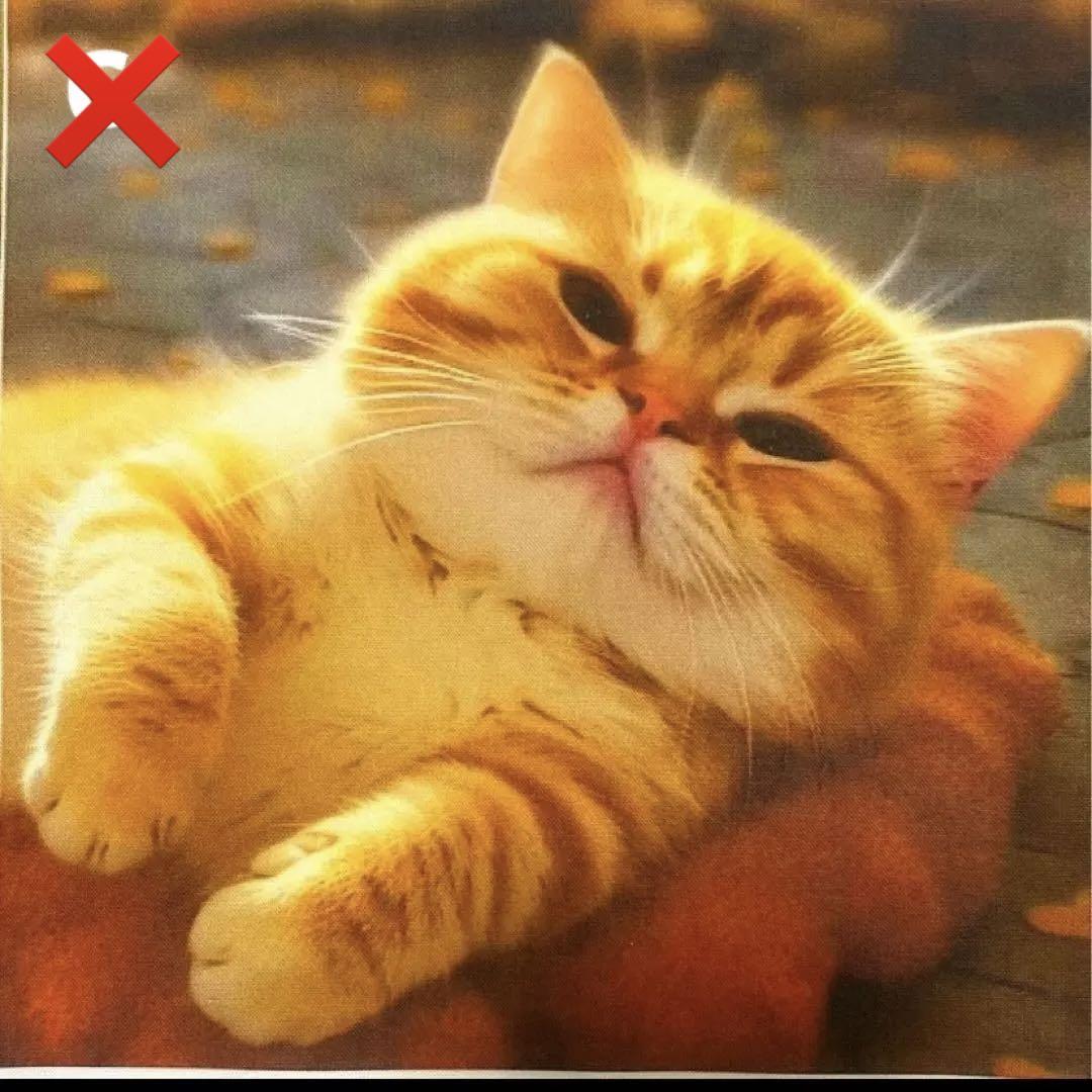 ◎ねこオーダーページ◎ オーダーページ パネル 猫ちゃん沢山 7/8 - メルカリ