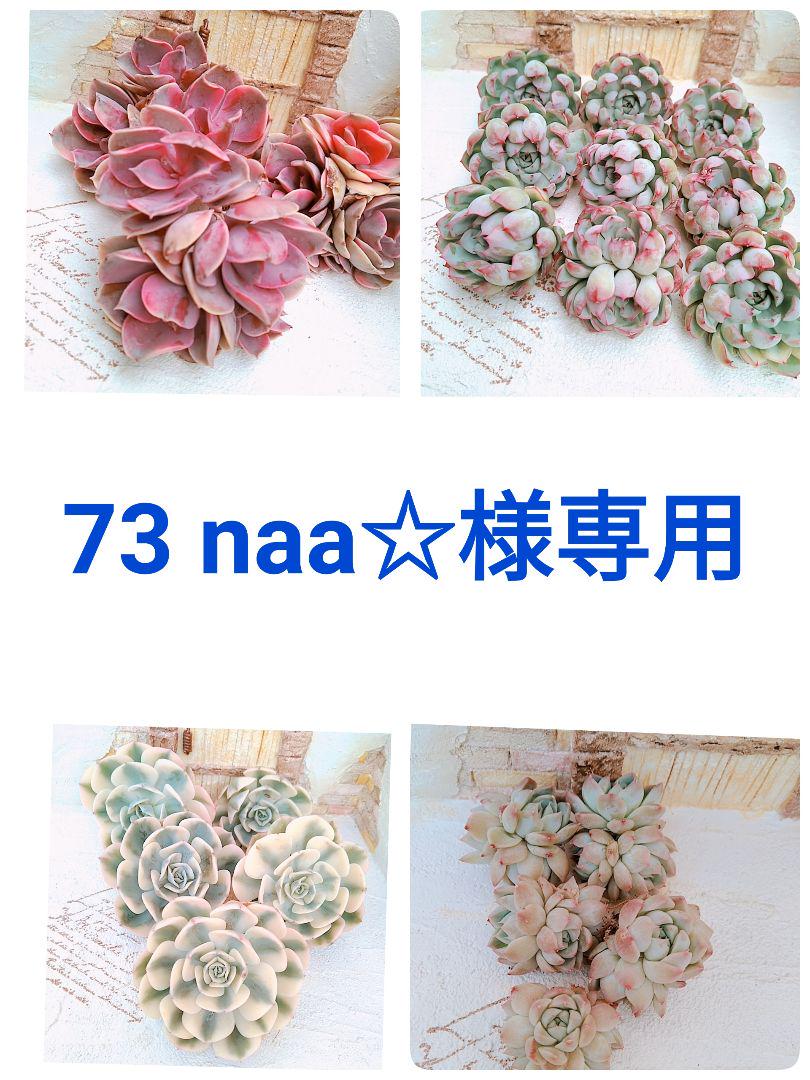 【待望★】 naa 専用 様 - マフラー/ショール