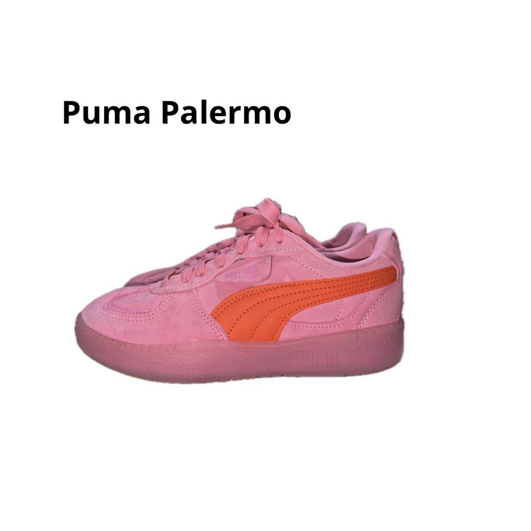 Puma Palermo xtra ピンク