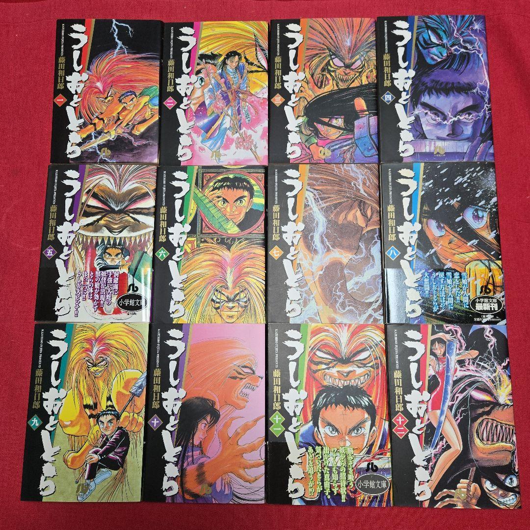 まんが【文庫版】うしおととら 全19巻 藤田和日郎 除菌済 - 青年