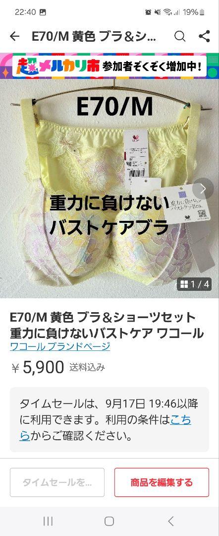 3点同梱！Wacoal E70/M 重力に負けないバストケア ワコール