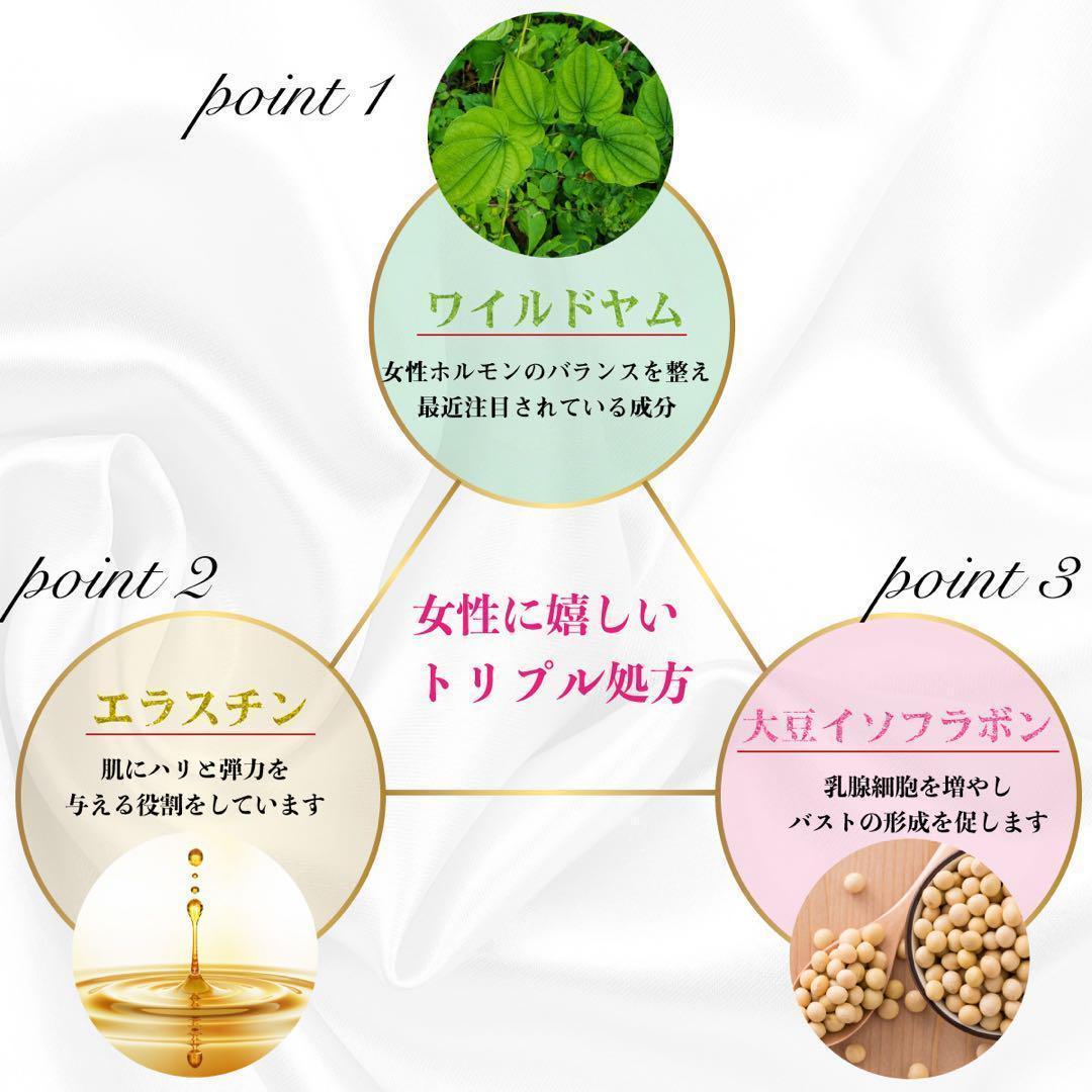 【公式!】※薬剤師推奨 バストケア サプリ 魅力アップ 3袋 サプリメント♪ 【公式!】※薬剤師推奨 バストケア サプリ 魅力アップ 3袋 サプリメント♪