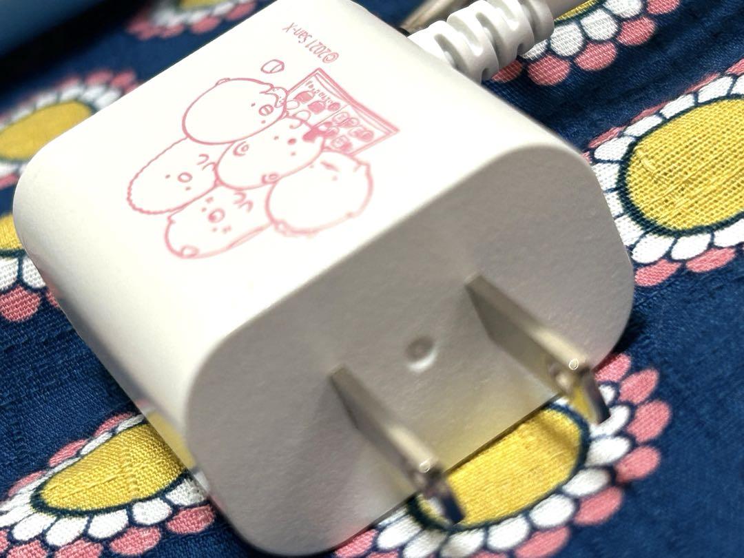 箱あり　カメラもIN！マウスできせかえ！すみっコぐらしパソコンプレミアムプラス