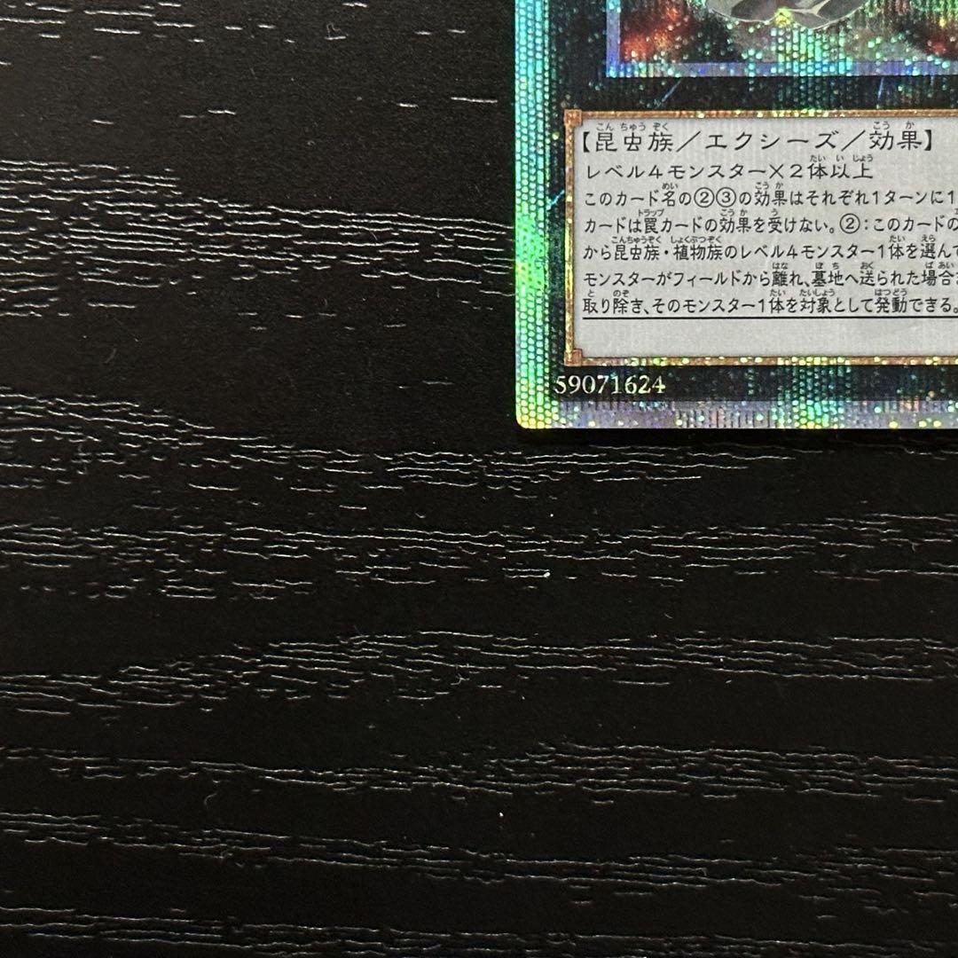 遊戯王 アロメルスの蟲惑魔 20th