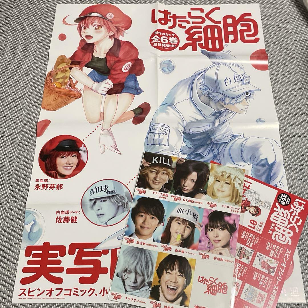 けいおん クリアポスター 4枚セット かきふらい 中野梓 秋山澪