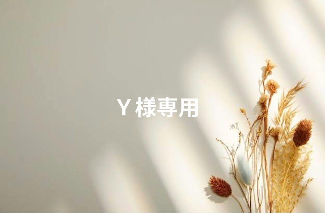 Y商品