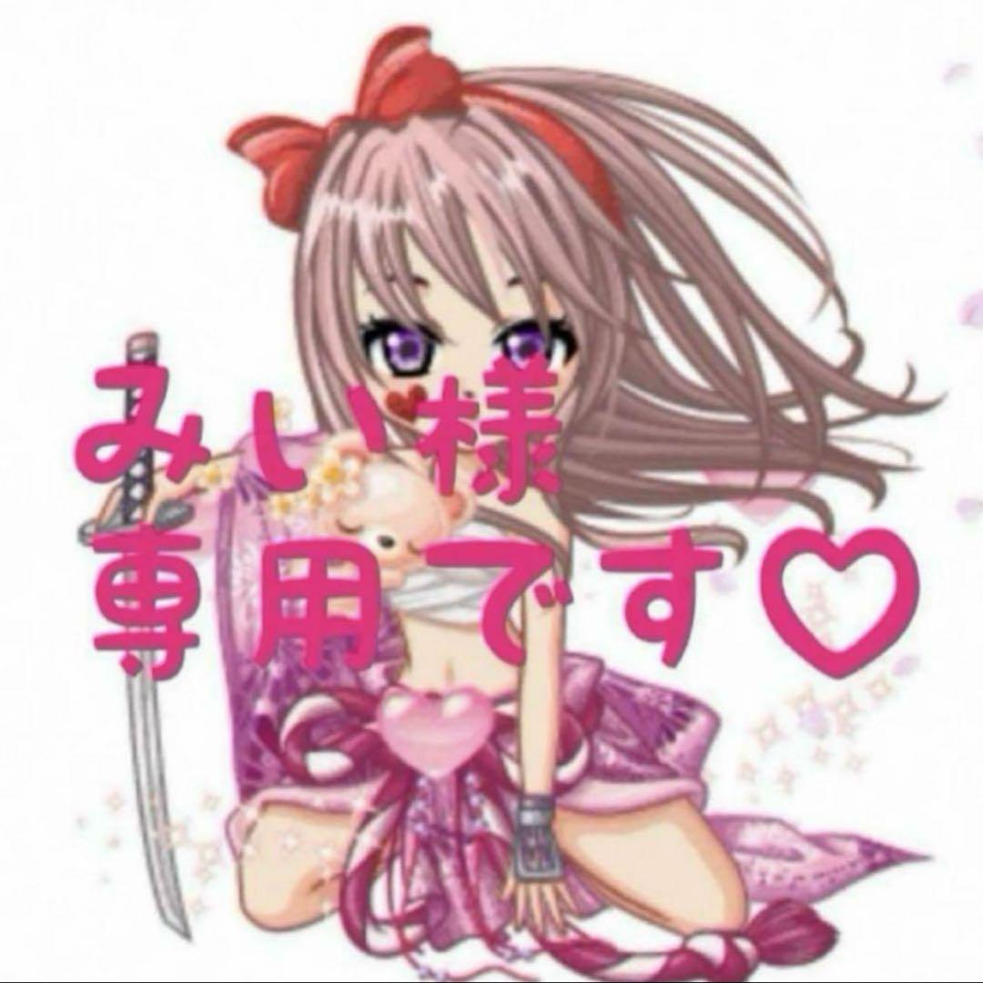 みい様専用です(*^^*)