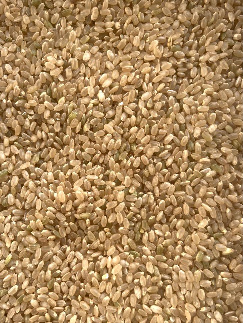 ヒノヒカリ 令和6年度 徳島県産 玄米20kg