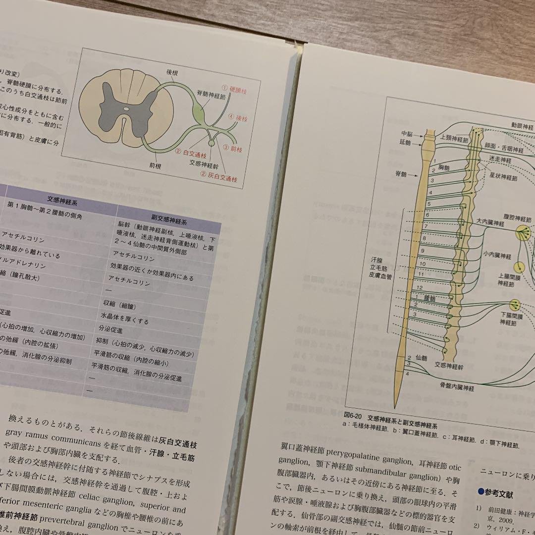 裁断済 第2版 YXiQ4-m29929239406 口腔解剖学 低価大特価