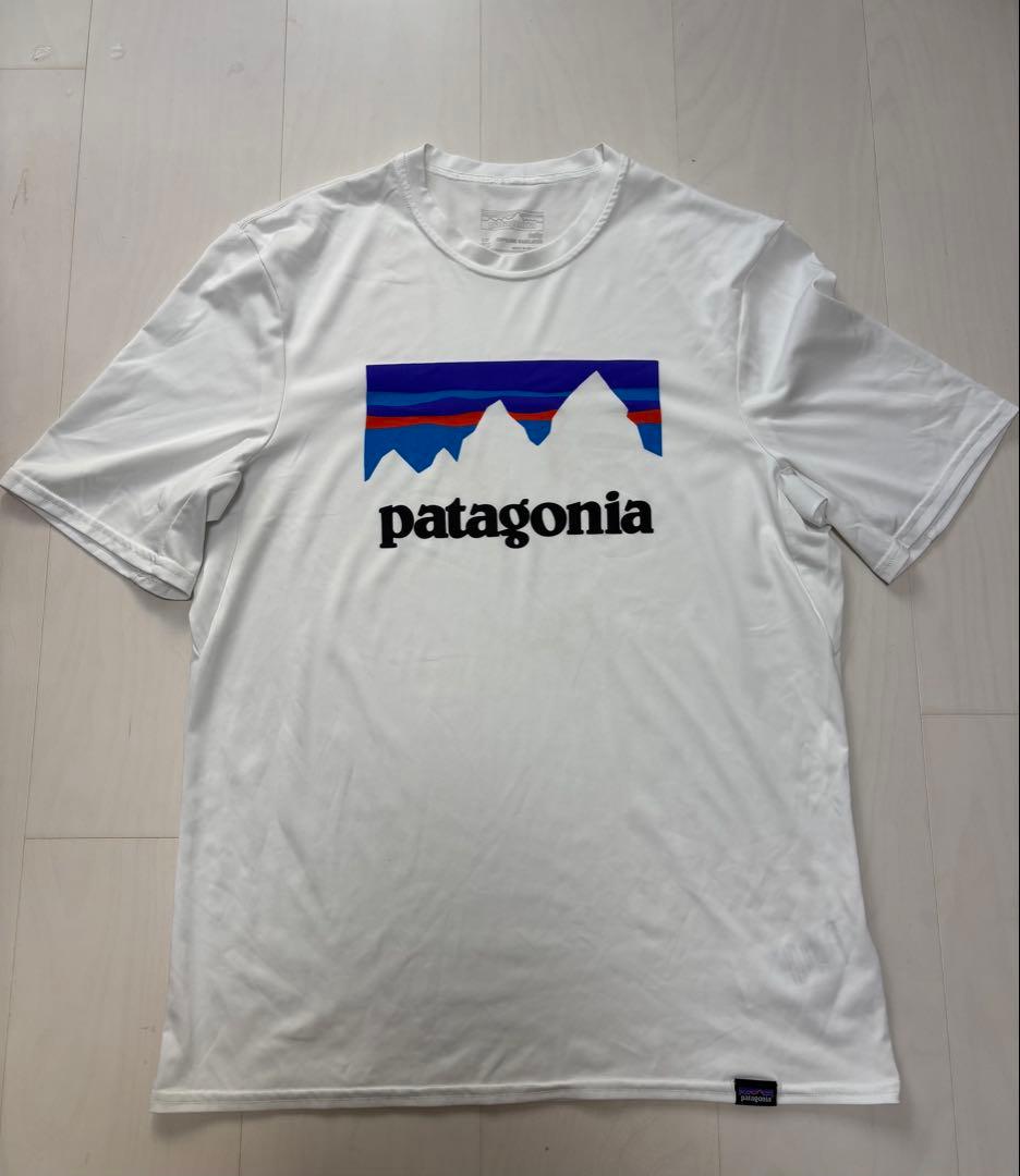 patagonia 山のグラフィック Tシャツ