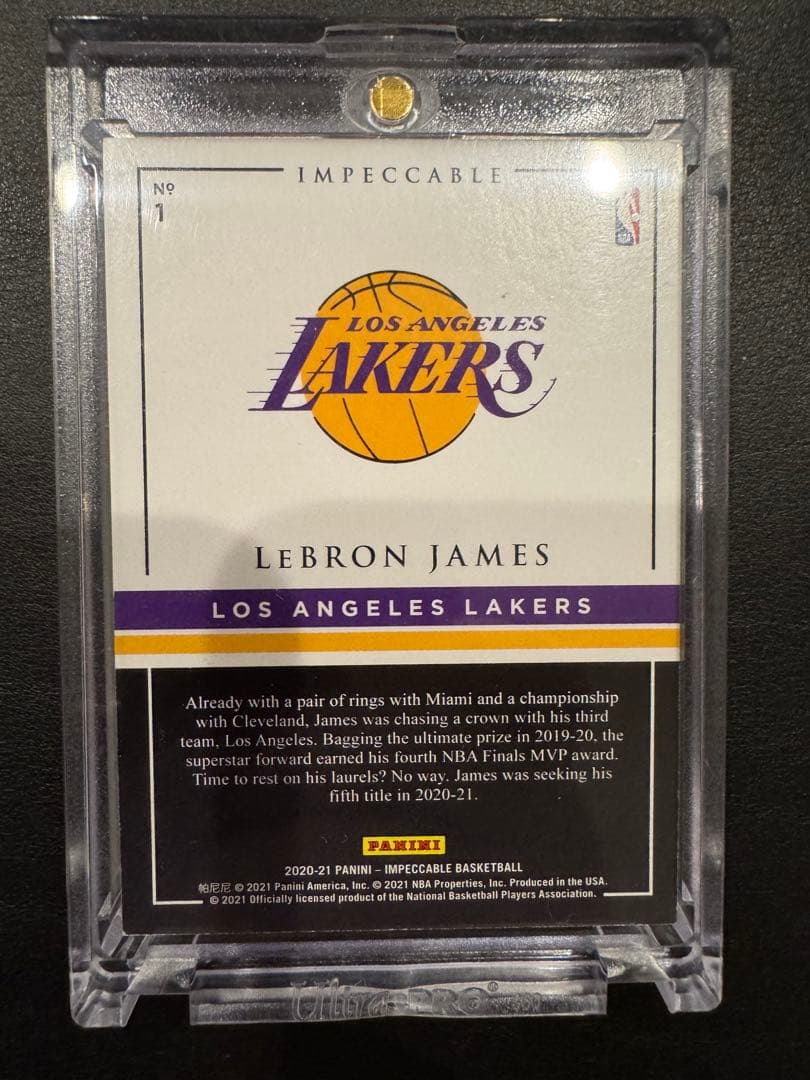 シルバー NBA ロゴ 1 LeBron James 15シリアル目立った傷や汚れなし UP786_INFO