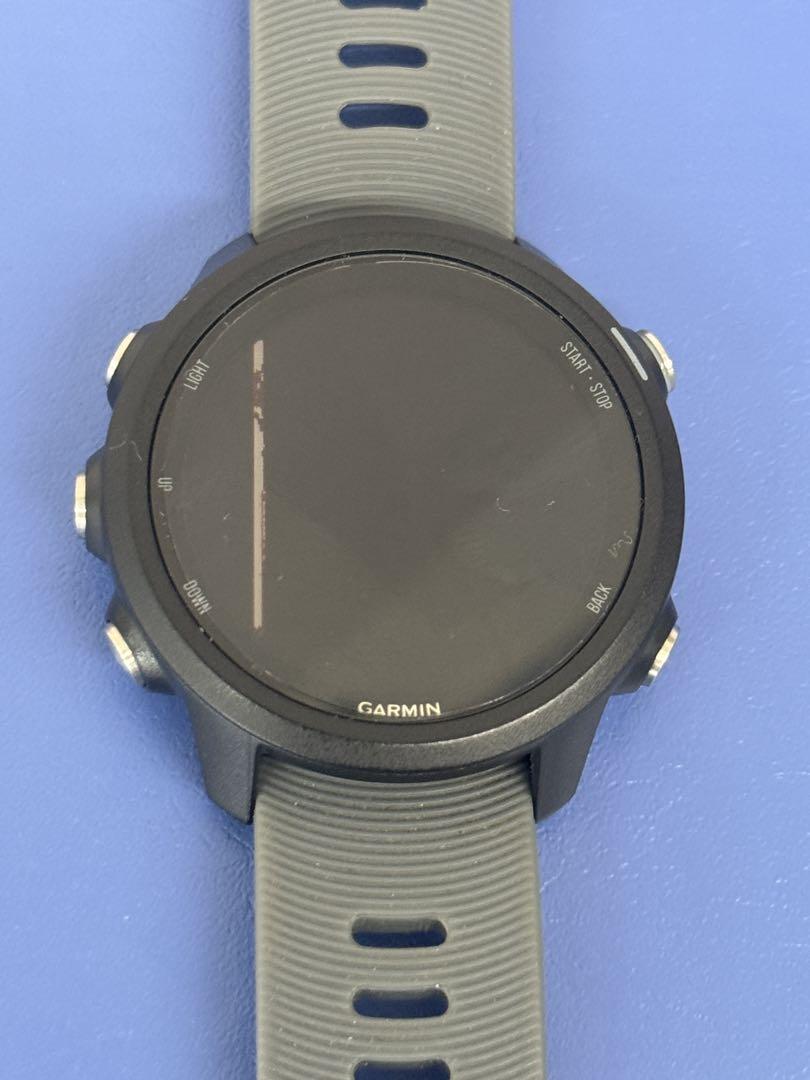 その他 GARMIN245