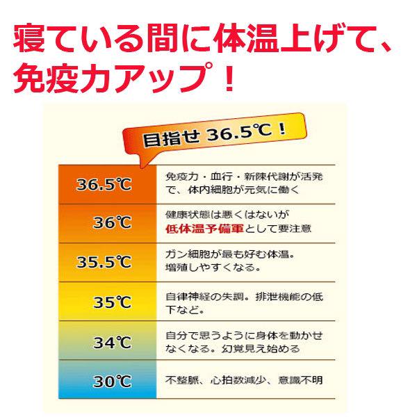 お得お買い得 ホルミシス敷きパット マイナスイオンで快眠 LWADU-m29984864638 免疫力アップ 低価お買い得