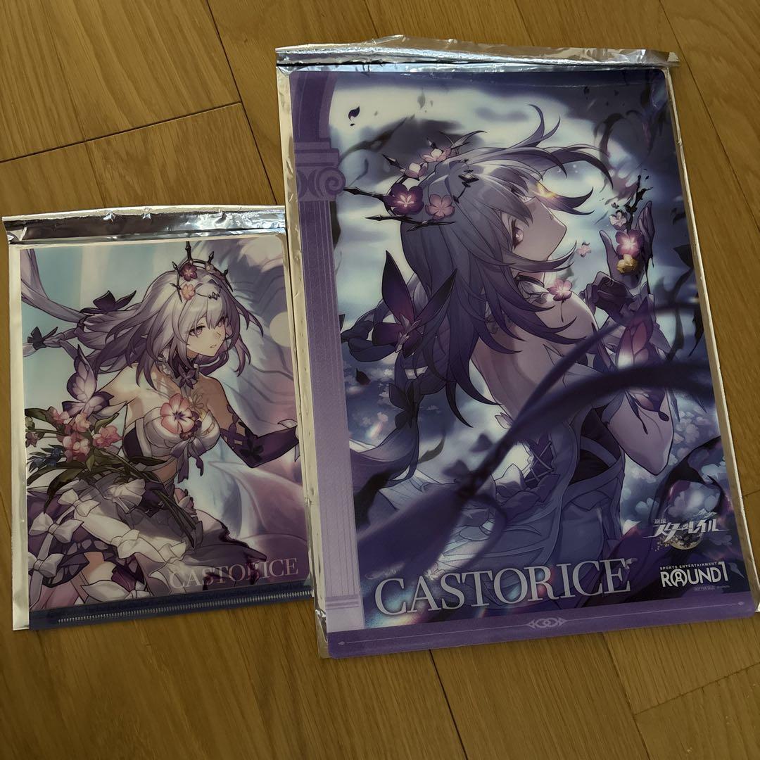 ラウンドワン スタレ キャストリス B4プラマット A5クリア