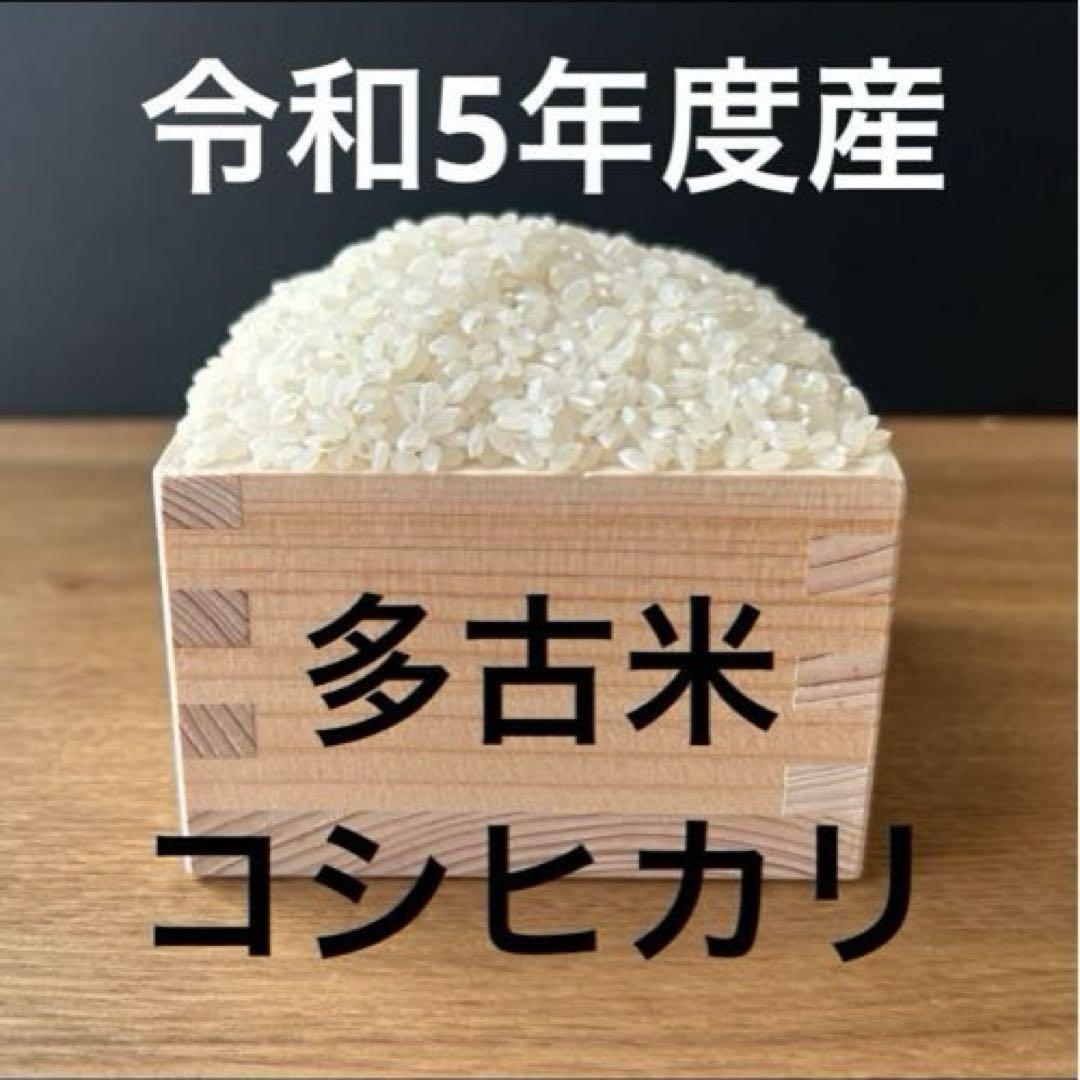 幻の米 多古米 コシヒカリ 精米 約27kg - 米・雑穀・粉類最 安 価格