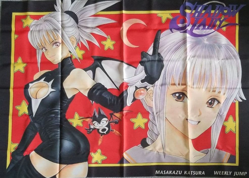 シャドウレディ 非売品 布ポスター sariater-hotel.com