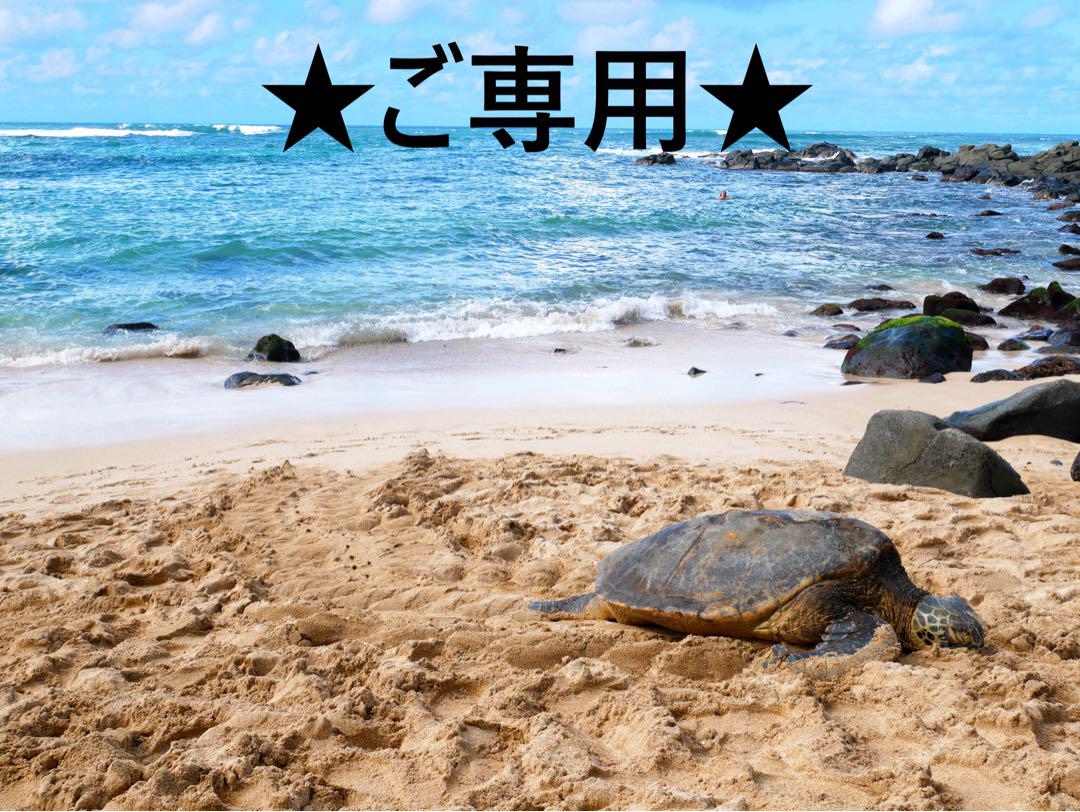 ✨nyon7様ご専用ページです✨