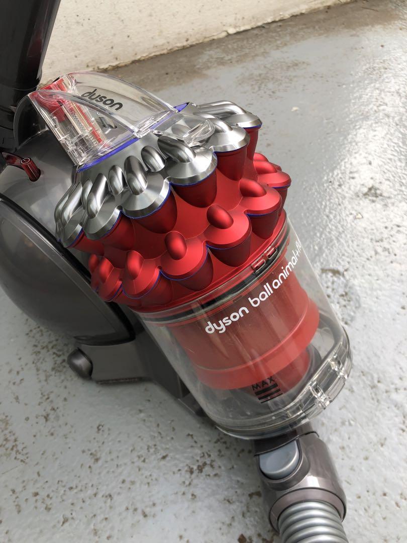 Dyson CY25 AFダイソンボールアニマルフラフィ【掃除機】