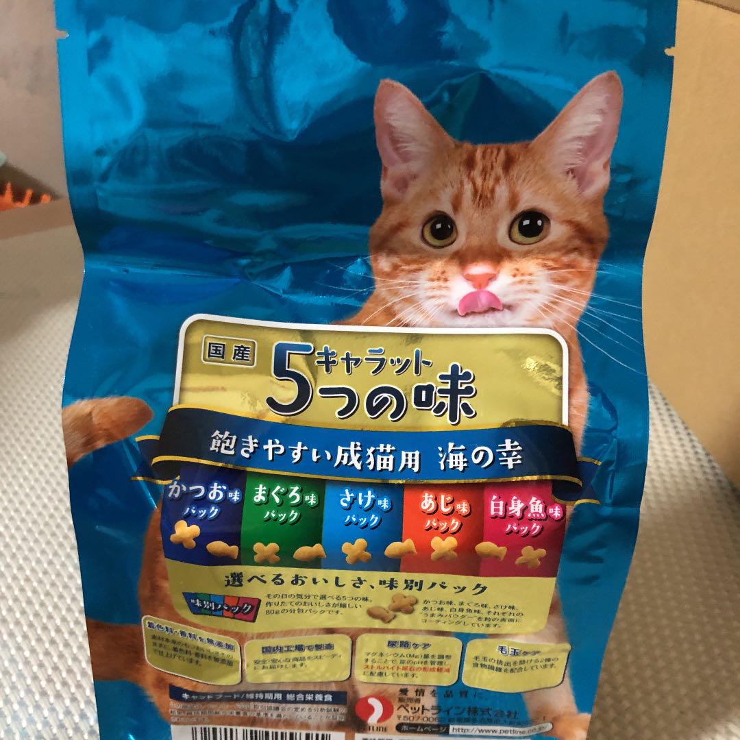 国内最安値 ちこちゃん 様専用 最新人気 Thislatterhouse Org Uk