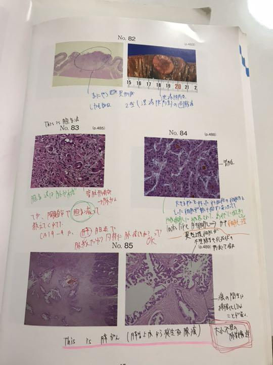 クエスチョン・バンク CBT 2019 4冊セット クエスチョン・バンク CBT 2019 vol.4: プール問題 連問編の通販