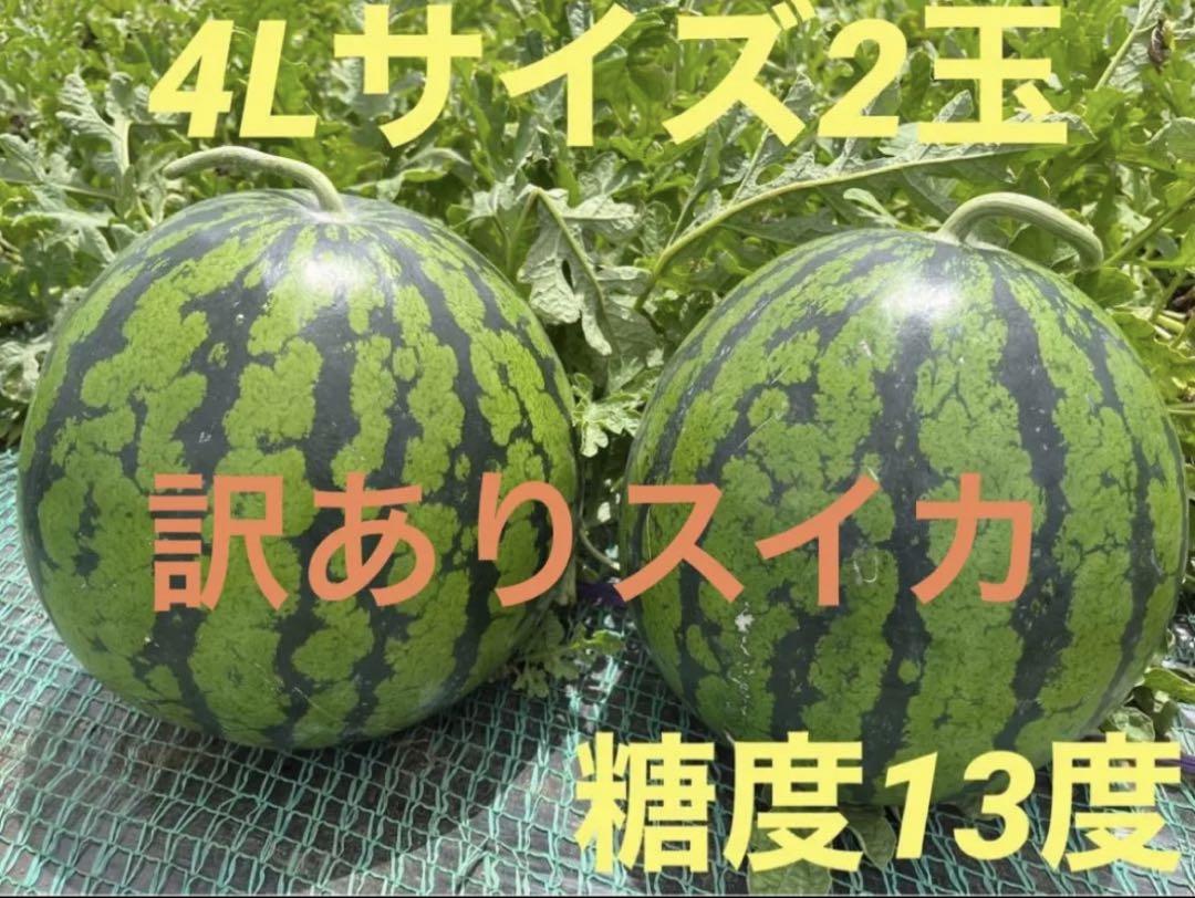 訳あり　大玉スイカ　4L 2玉