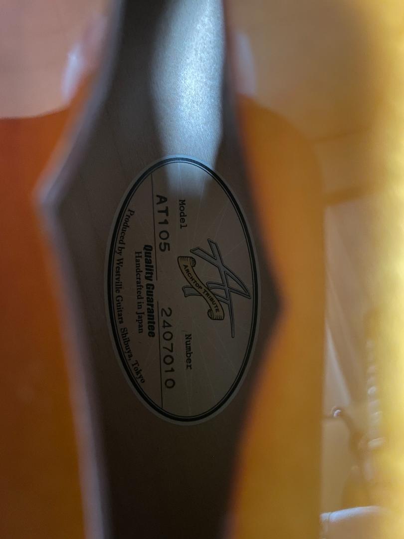 ギター Archtop Tribute AT105 Late '50s Burst