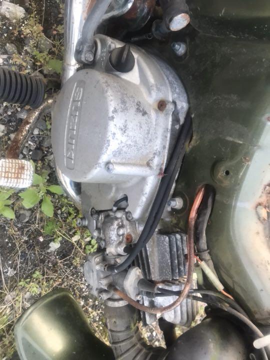 スズキバーディー LwWqc-m30073301779 在庫あ通販