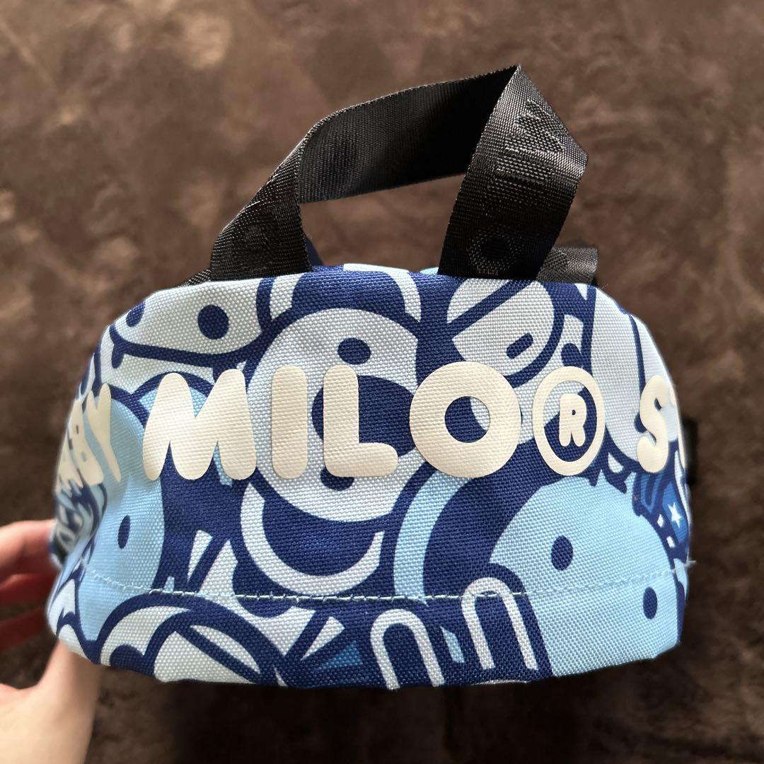エイプ　リュック　美品