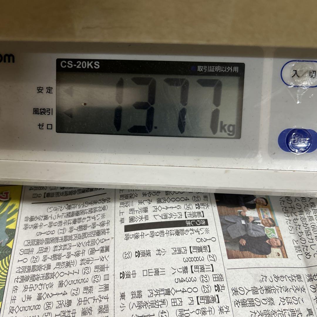 宮崎県産　摘果マンゴー13.5㌔
