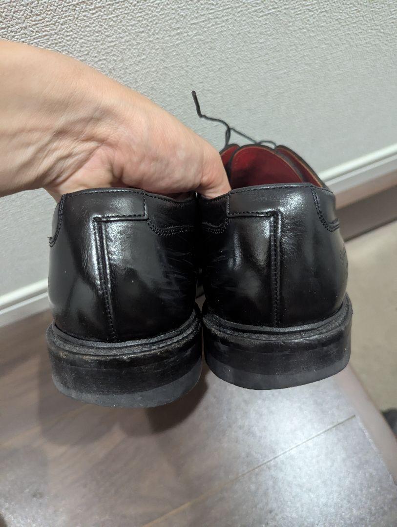 Shoe & Co. regal 25.5