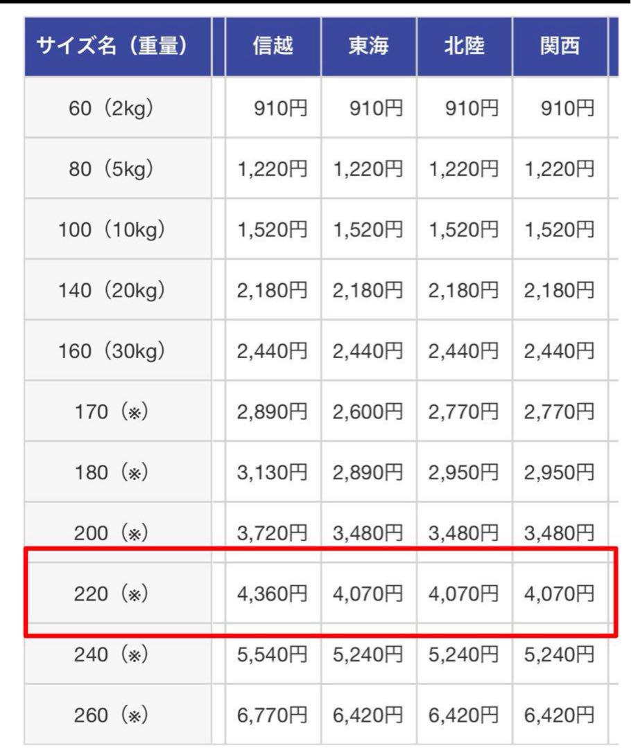 ゼロドラゴン　Squid Hooker SH593B　イカメタル　新品　掛け調子