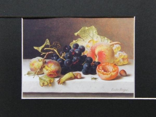 E・Preyer、Grapes Peaches & Plums、希少画集より