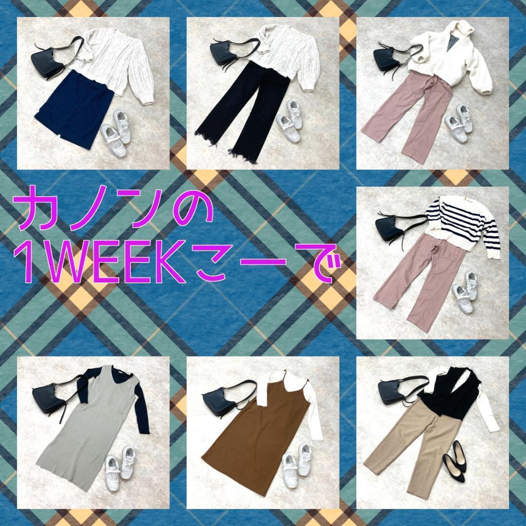 WINTER 1WEEKコーデ おまとめ13着セット レディース L