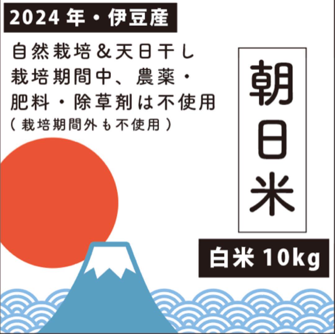 自然栽培＆天日干し【朝日米・白米10kg】R6年産／農薬化学肥料除草剤は不使用