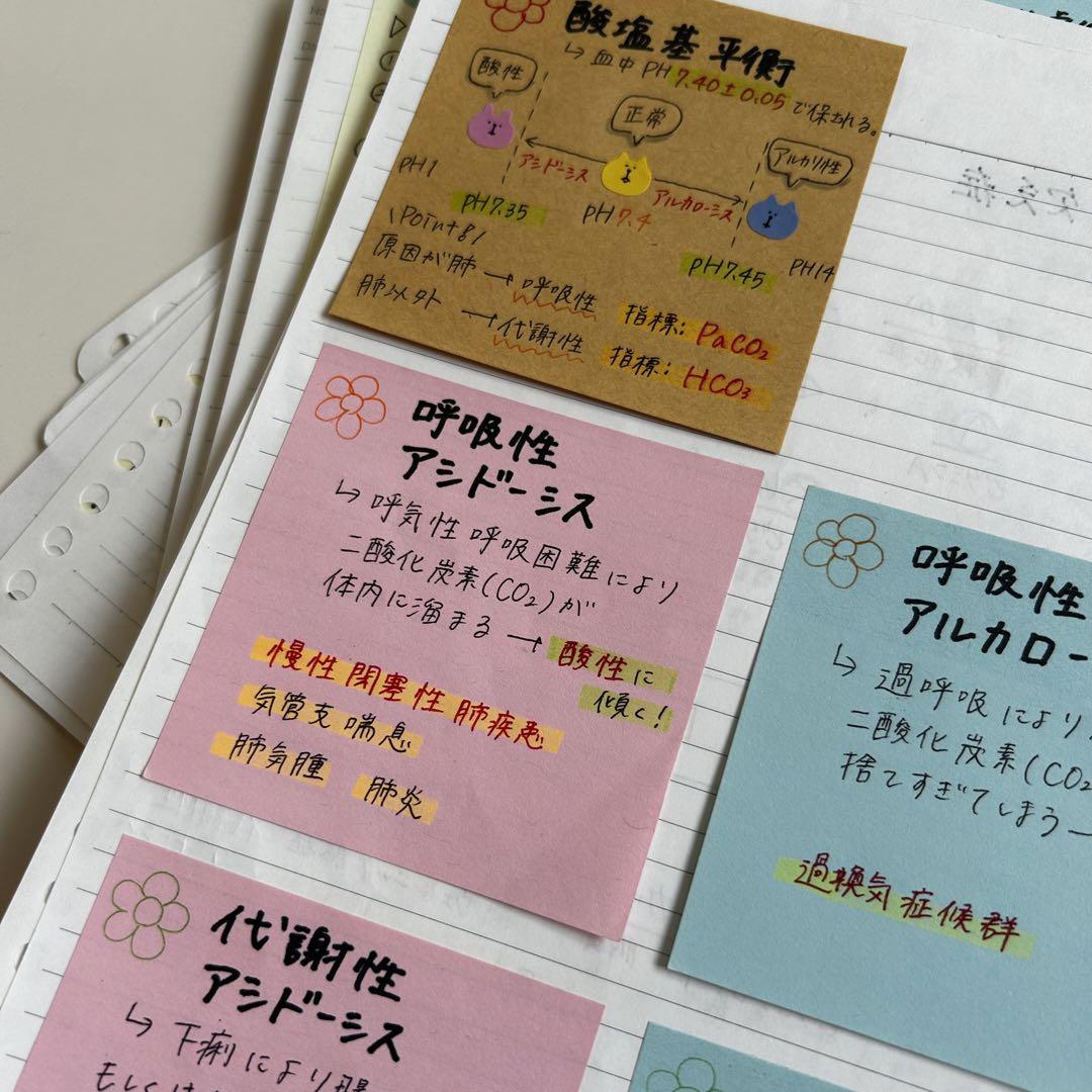 大人気現品発送☆看護師国家試験対策 付箋ノート250枚＋160枚＋
