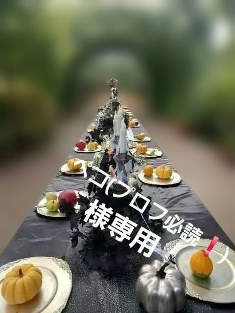 ペコ(プロフ必読❗️)様専用