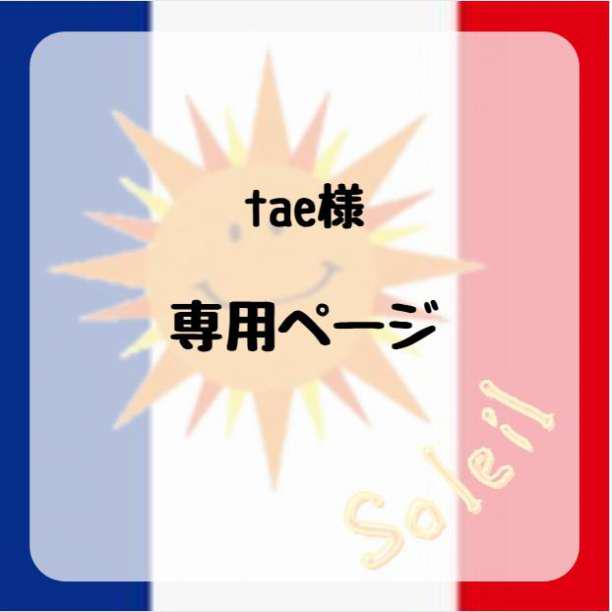 素材/材料 【tae様専用】ハンドメイドパーツ2点 【爆売り
