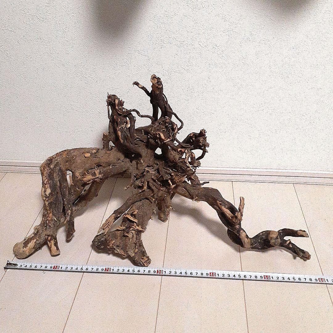 【２つ目半額】　流木 約60cm 自然な形状　No.102