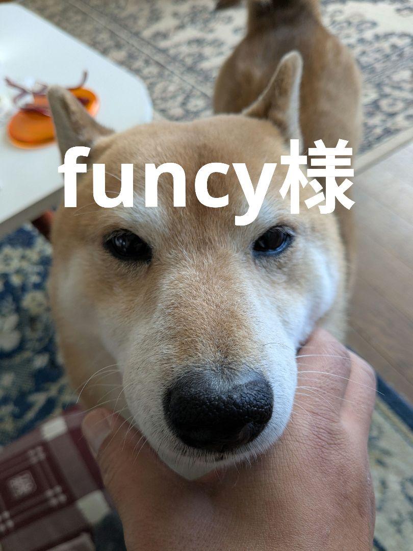 funcy枠　ショートストラップ　ボーンネックレス　ハンドメイド