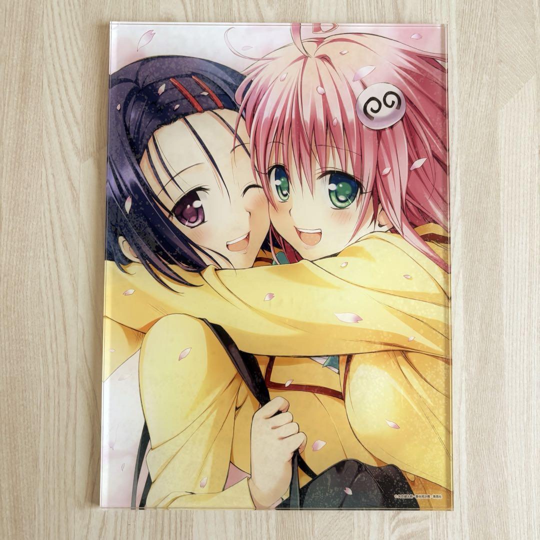 To LOVEる-とらぶる-15周年記念原画展 アートパネル I 春菜