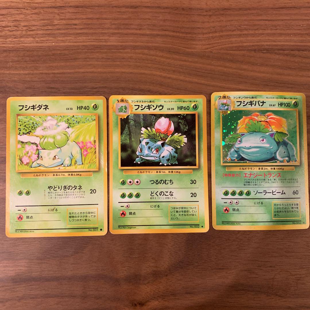 ショッピング特売 ポケモンカード 旧裏 フシギダネ フシギソウ フシギバナ 直販ネット Www Nufcblog Co Uk ショッピング特売 ポケモンカード 旧裏 フシギダネ フシギソウ フシギバナ 直販ネット Www Nufcblog Co Uk