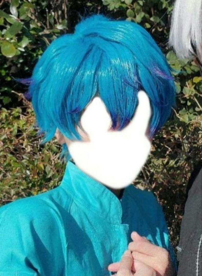湊大瀬 コスプレ ウィッグ コスプレウィッグ カリスマ 湊大瀬