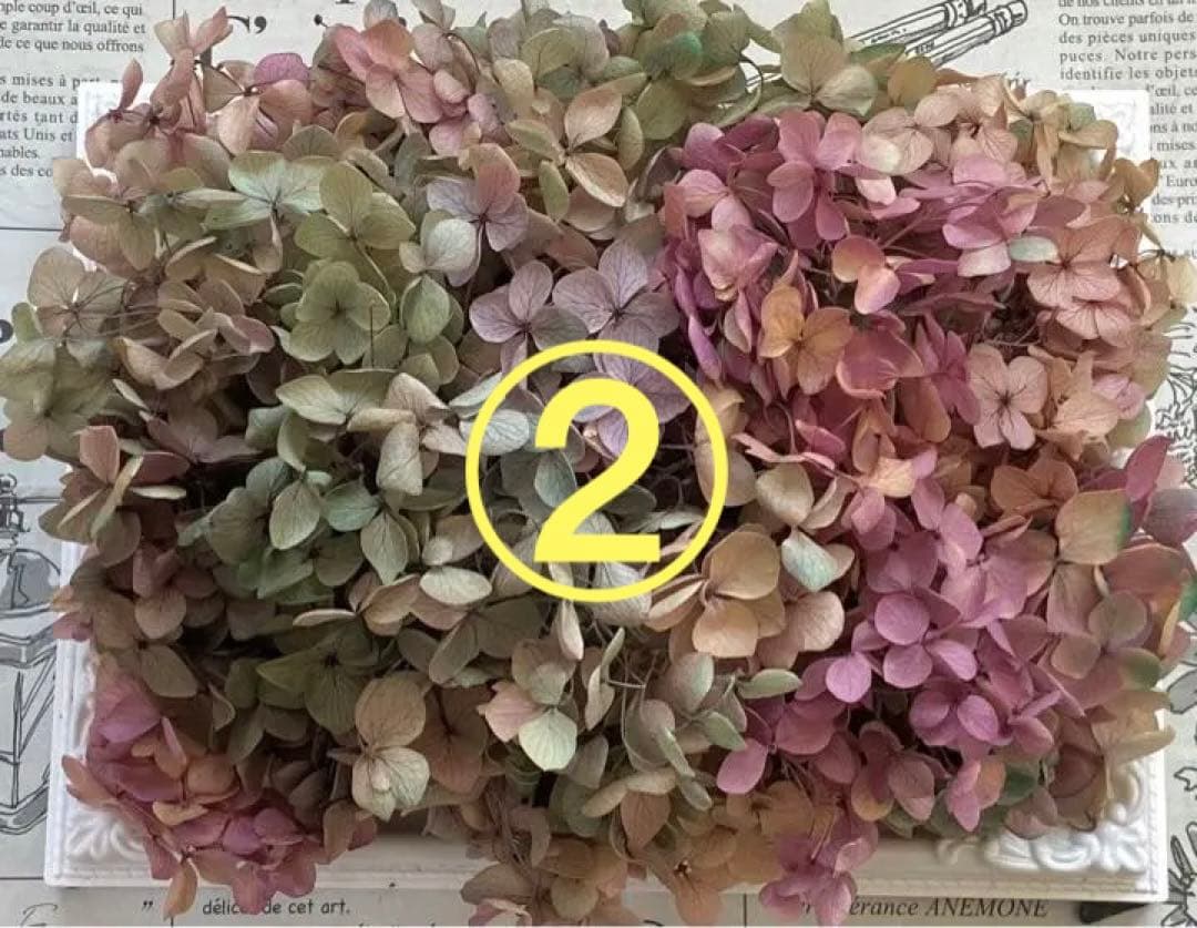 流行に 専用ページおまとめ割引-250 ienomat.com.br