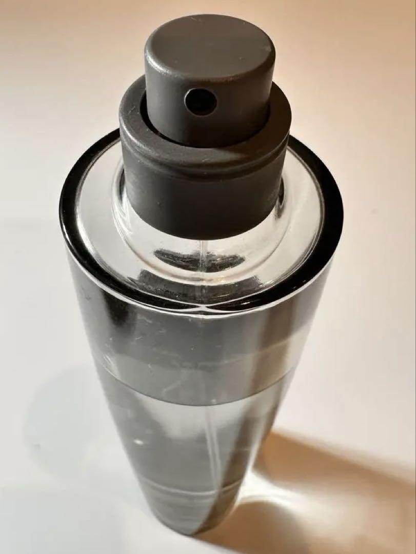 ジョルジオ アルマーニ マニア プールオム EDT SP 100ml