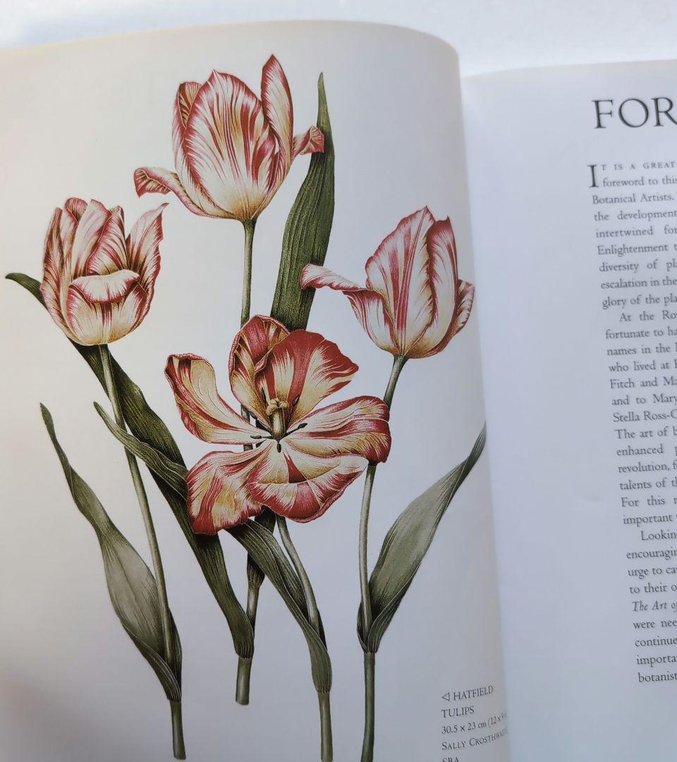 ボタニカルアート] THE ART OF BOTANICAL PAINTING - メルカリ