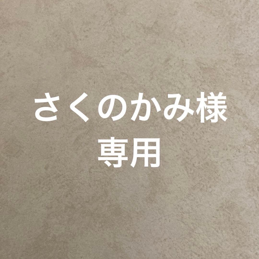 Arc'teryx アークテリクスアトムSLフーディ Mサイズforageカラー