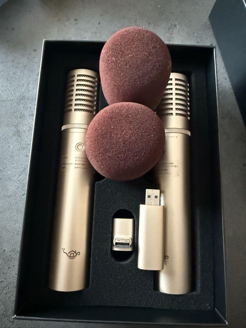 Aladdin MIC 2 ゴールド マイク 2本セット