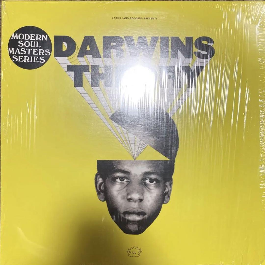 DARWINS THEORY LP レコード Mi5qcGVn.jpeg