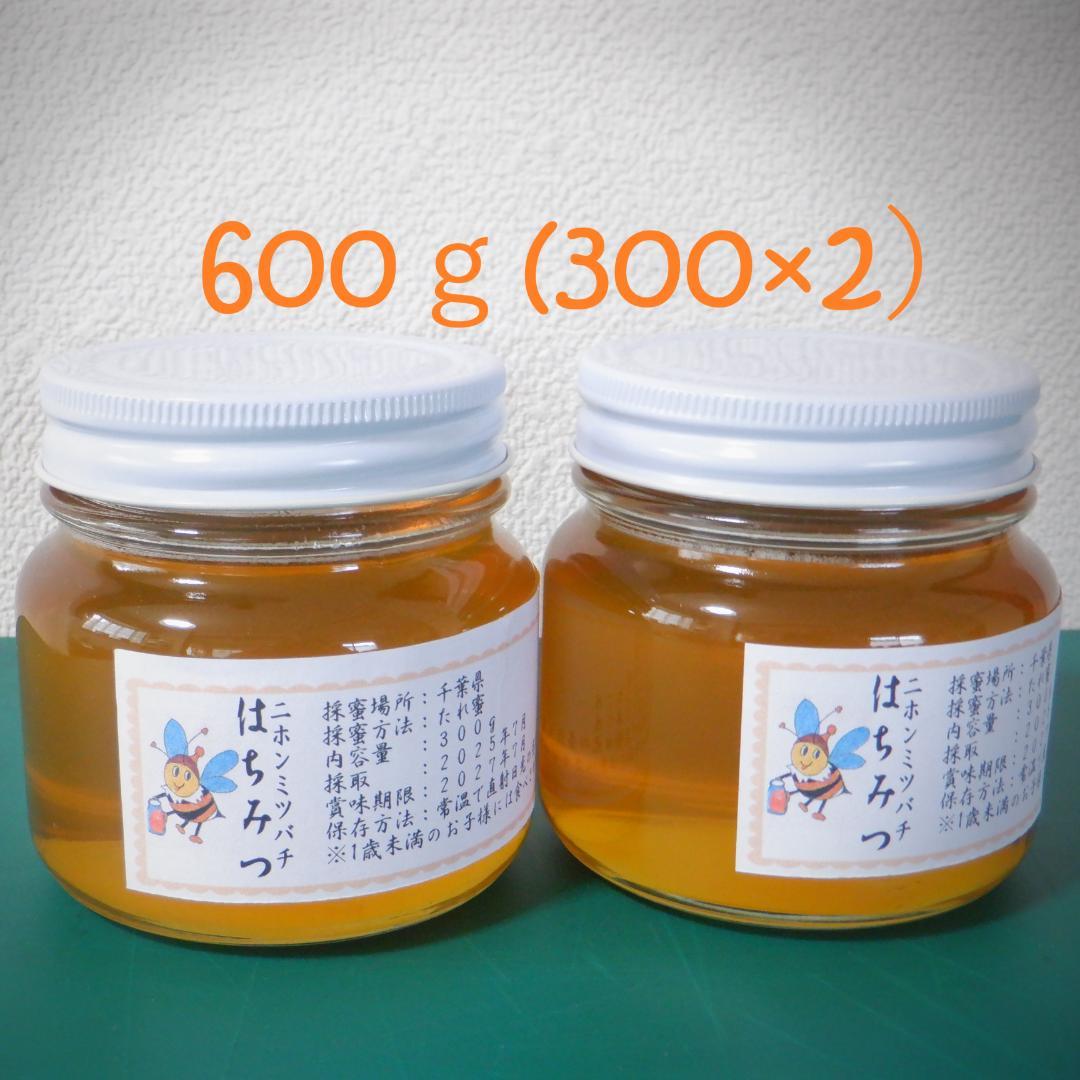 日本ミツバチの天然純粋生はちみつ600g（300g×2）7月採蜜した